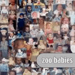 Zoobabies